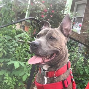 Meet your Posher, Akia